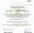 Powiększ obraz: certificate 11