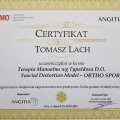 Powiększ obraz: certificate 14