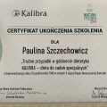 Powiększ obraz: certificate 56