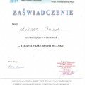 Powiększ obraz: certificate 9