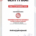 Powiększ obraz: certificate 2