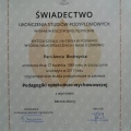 Powiększ obraz: certificate 7
