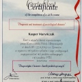 Powiększ obraz: certificate 9