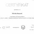 Powiększ obraz: certificate 2