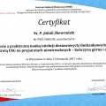 Powiększ obraz: certificate 9