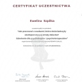 Powiększ obraz: certificate 50