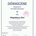 Powiększ obraz: certificate 9