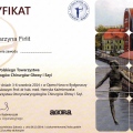 Powiększ obraz: certificate 6