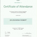 Powiększ obraz: certificate 43
