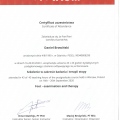 Powiększ obraz: certificate 3