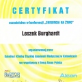 Powiększ obraz: certificate 31
