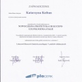 Powiększ obraz: certificate 11