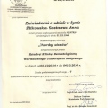 Powiększ obraz: certificate 10