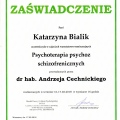 Powiększ obraz: certificate 7