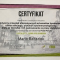 Powiększ obraz: certificate 16