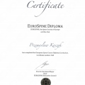 Powiększ obraz: certificate 1