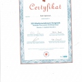 Powiększ obraz: certificate 45