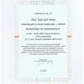 Powiększ obraz: certificate 11