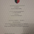 Powiększ obraz: certificate 2