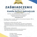 Powiększ obraz: certificate 19