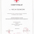 Powiększ obraz: certificate 6
