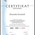 Powiększ obraz: certificate 30