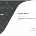 Powiększ obraz: certificate 15