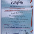 Powiększ obraz: certificate 5