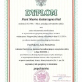 Powiększ obraz: certificate 1