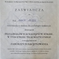 Powiększ obraz: certificate 17
