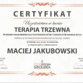 Powiększ obraz: certificate 3