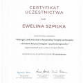 Powiększ obraz: certificate 38