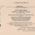 Powiększ obraz: certificate 13