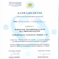 Powiększ obraz: certificate 5