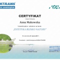 Powiększ obraz: certificate 4