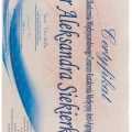 Powiększ obraz: certificate 1