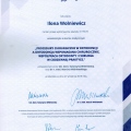 Powiększ obraz: certificate 11