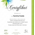 Powiększ obraz: certificate 4