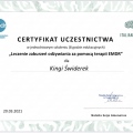 Powiększ obraz: certificate 14