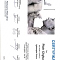 Powiększ obraz: certificate 4