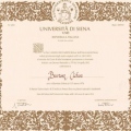 Powiększ obraz: certificate 2