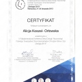Powiększ obraz: certificate 43