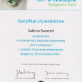 Powiększ obraz: certificate 4