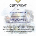 Powiększ obraz: certificate 3