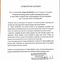 Powiększ obraz: certificate 4