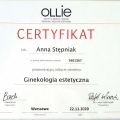 Powiększ obraz: certificate 3