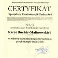 Powiększ obraz: certificate 2