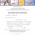 Powiększ obraz: certificate 16
