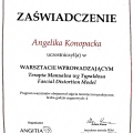 Powiększ obraz: certificate 5