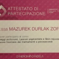 Powiększ obraz: certificate 11